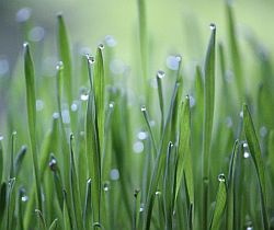 Ilustrační obrázek